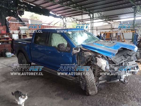 Julio 2024 – FORD F150 RAPTOR 3.5 4X4 2020 AUT